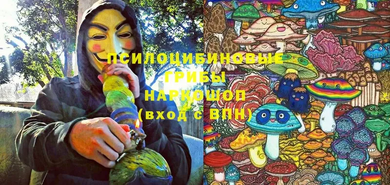 Псилоцибиновые грибы Magic Shrooms  Рыльск 